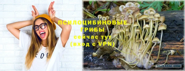 эйфоретик Балахна