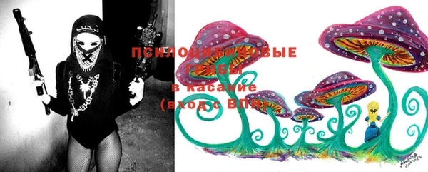 эйфоретик Балахна