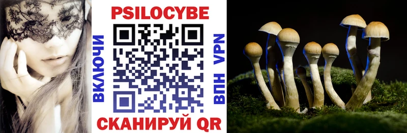 Купить где  Соликамск  Псилоцибиновые грибы Magic Shrooms 
